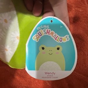 Wendy squishmellow